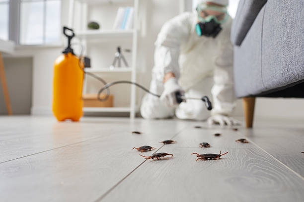 Affordable Ant Control solutions in Haskell, TX
